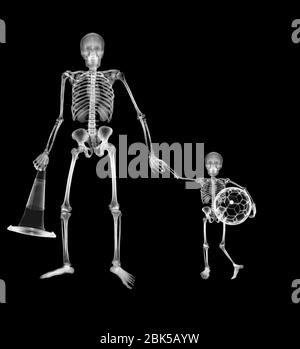 Adult skeleton taking child skeleton to football, X-ray. Stock Photo