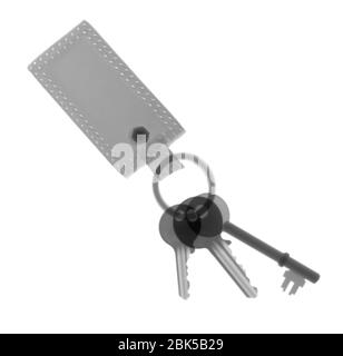 Keys on a keychain, X-ray. Stock Photo