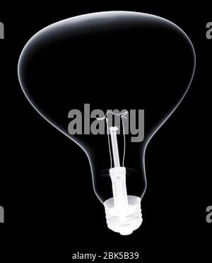 Light bulb, X-ray. Stock Photo