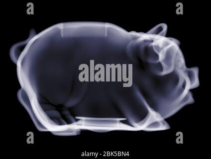 Empty piggy bank, X-ray. Stock Photo