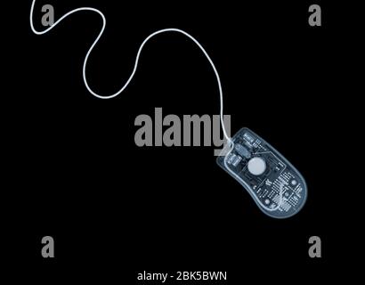 Computer mouse, X-ray. Stock Photo