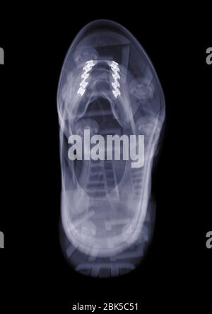 Trainer at an angle, X-ray. Stock Photo