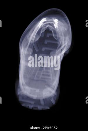 Trainer at angle, X-ray. Stock Photo
