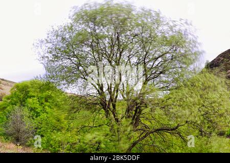 images of a yorkshire village Stock Photo