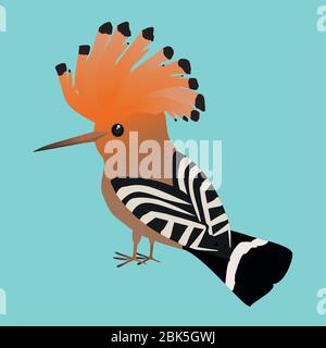 An illustration of a cute Eurasian hoopoe on a soft blue background. Stock Vector