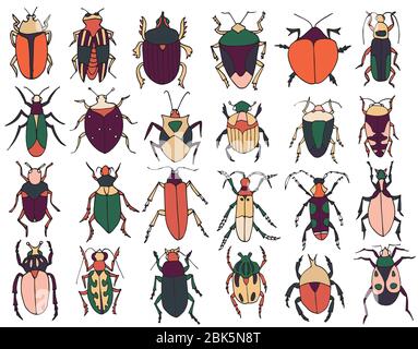 Beetles set, insects outline vector, icons. Exotic bugs collection.hand drawn doodle style, colorful. Stock Vector