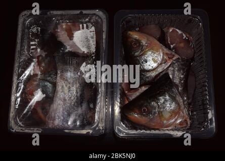 Packaged raw frozen fish steaks or cut pieces of rohu fish Stock Photo