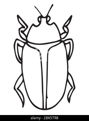 Beetle, insect outline vector, icon. Coloring page for kids. Exotic bug collection.hand drawn doodle style, Isolated Stock Vector