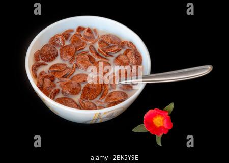 Choco cornflakes with milk in blowl isolated on black gray background, a delicious dietary and healthy breakfast cereal. Stock Photo