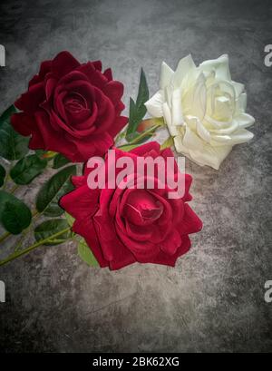 Artificial flowers: three roses on a dark background Stock Photo