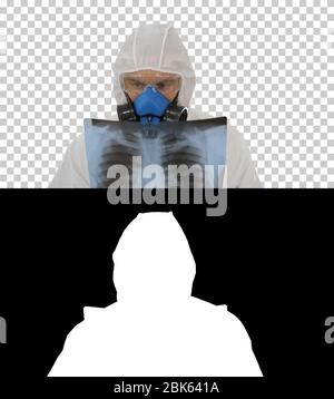 Medic in white hazmat protective suit checking lungs X-ray looking for epidemic virus, Alpha Channel Stock Photo
