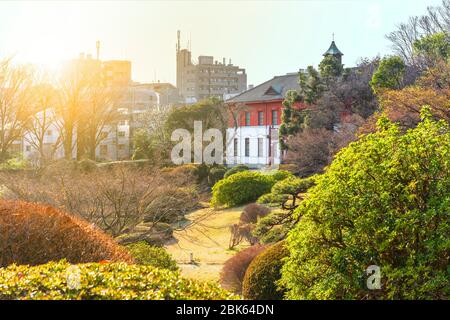tokyo, japan - march 20 2020: Sunset on the japanese garden of the Koishikawa Botanical Gardens with the red brick mansion of the Koishikawa Annex of Stock Photo