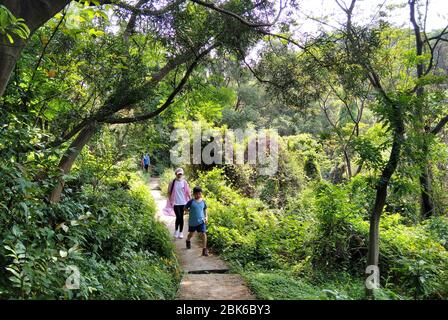 Guangzhou, China's Guangdong Province. 2nd May, 2020. People hike on the Xunfeng Hill during the International Labor Day holiday in Guangzhou, south China's Guangdong Province, May 2, 2020. Credit: Lu Hanxin/Xinhua/Alamy Live News Stock Photo