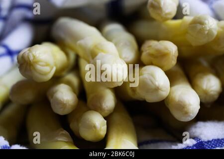 Macro closeup of group raw fresh asparagus spear lips wrapped in wet towel Stock Photo