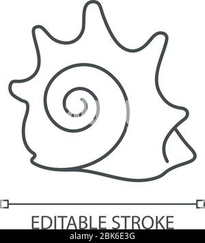 20-04-21 Seashells icon set glyph 16.eps Stock Vector
