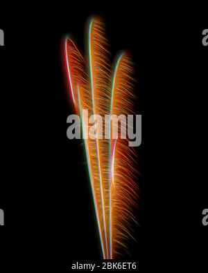 Featherlike fireworks against black background Stock Photo