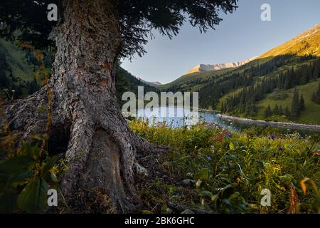 Beautiful view of high mountain lake Kolsai in Kazakhstan, central Asia Stock Photo