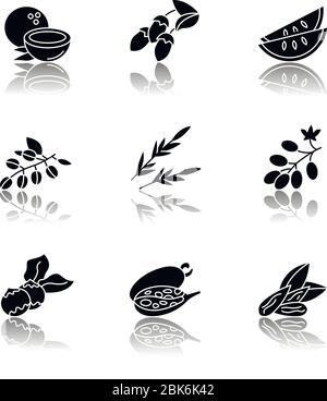 Hair oil ingredients drop shadow black glyph icons set. Jojoba essence for nourishment. Herbal cosmetic product for natural haircare treatment Stock Vector