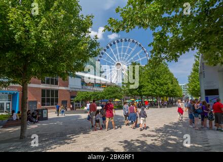 View of Ferries Wheel on Navy Pier, Chicago, Illinois, United States of America, North America Stock Photo