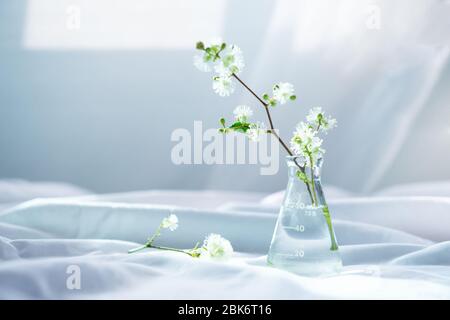 Concept of cosmetic research and organic skin care products, space for ...