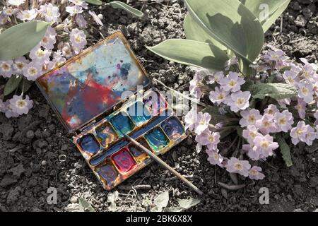 Box with old mixed paints lies on the ground among flowers. Stock Photo
