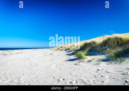 The grass covered sand dunes leading to race point beach on the cape cod national seashore in massachusetts. on a sunny blue sky day. Stock Photo