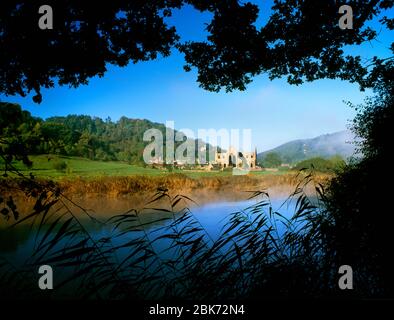 Tintern Abbey beside River Wye, Tintern Pava, Chepstow, Monmouthshire, South Wales. Misty summer morning. Stock Photo