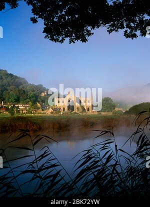 Tintern Abbey beside River Wye, Tintern Pava, Chepstow, Monmouthshire, South Wales. Misty summer morning. Stock Photo