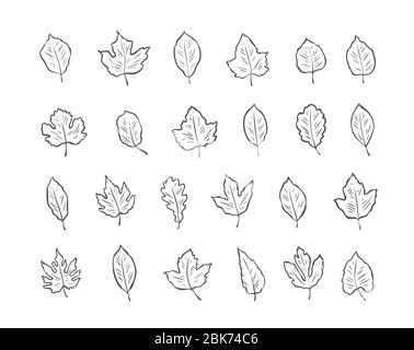 Leaves set sketch. Environment, nature vector illustration Stock Vector