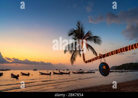 Beautiful coconut trees and sunset on the beach, Koh Tao island in Thailand. Stock Photo