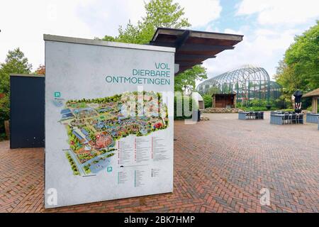 Rhenen, Netherlands. 02nd May, 2020. RHENEN, 02-05-2020 Ouwehands Dierenpark . Dutch Zoo, dierenpark . Credit: Pro Shots/Alamy Live News Stock Photo
