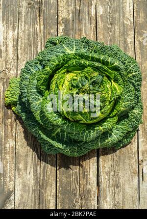 savoy cabbage from organic grower farm, on wooden table Stock Photo