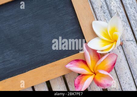 Empty chalk board with frangipani on bamboo background. Blank blackboard. Stock Photo