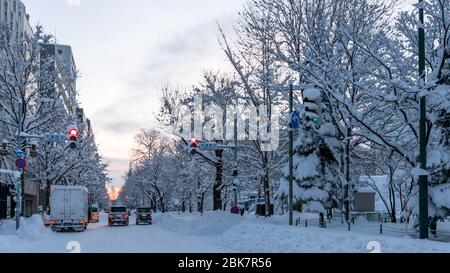 Snow Scene, Sapporo, Hokkaido, Japan Stock Photo