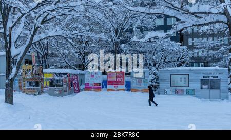 Snow Scene, Sapporo, Hokkaido, Japan Stock Photo