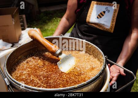 Raw honey in strainer being processed from honeycomb with persons arms in background wearing bee shirt Stock Photo