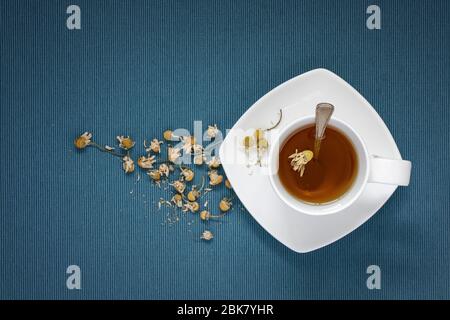 Fresh camomile tea Stock Photo