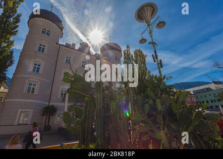 Cactus in front of the municipality or Schloss Liebburg of Lienz, Austria Stock Photo