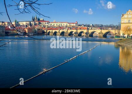 View of the Vltava River and the bridges shined with the sunset sun, Prague, the Czech Republic Stock Photo