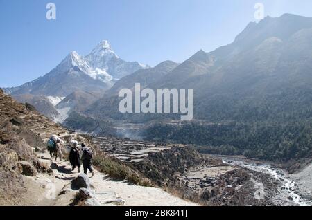 Way from Namche Bazar to Pangboche on Everest Trek Stock Photo