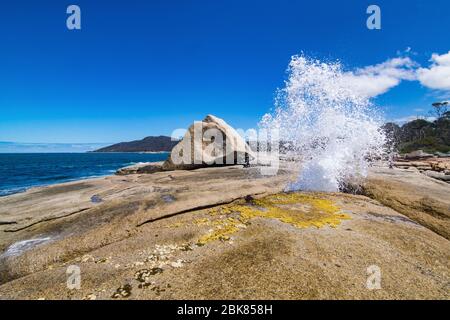 The Bicheno blow hole in action Stock Photo