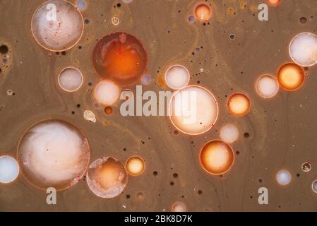 Colorful circles on a brown background made of natural colors. Mixed watercolors and oils. Natural dynamic background Stock Photo