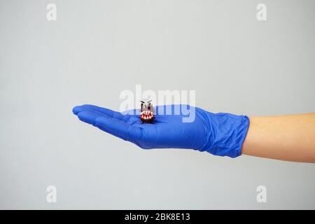A hand in a blue medical glove holds a virus figurine on a gray background. Stock Photo