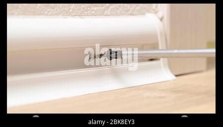 Man work on the installation of plastic plinth on white wall. Close up. Stock Photo