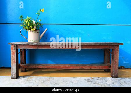 Flowerpot on long wooden chair in blue concrete background Stock Photo