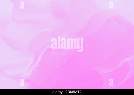 Pink gradient abstract background, soft pastel delicate background Stock Photo