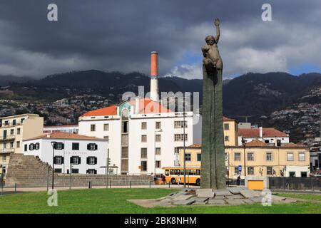 Praca da Autonmia, Funchal City, Madeira Island, Portugal, Europe Stock Photo