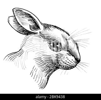 Cute bunny head. Ink black and white drawing Stock Photo