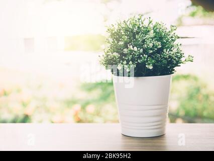 Beautiful artificial bush tree in pots ceramic on wooden table nature background, plastic tree and foliage, plant leaf fake with imitation for decorat Stock Photo
