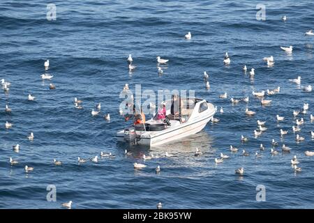 Fishing in Greenland Stock Photo